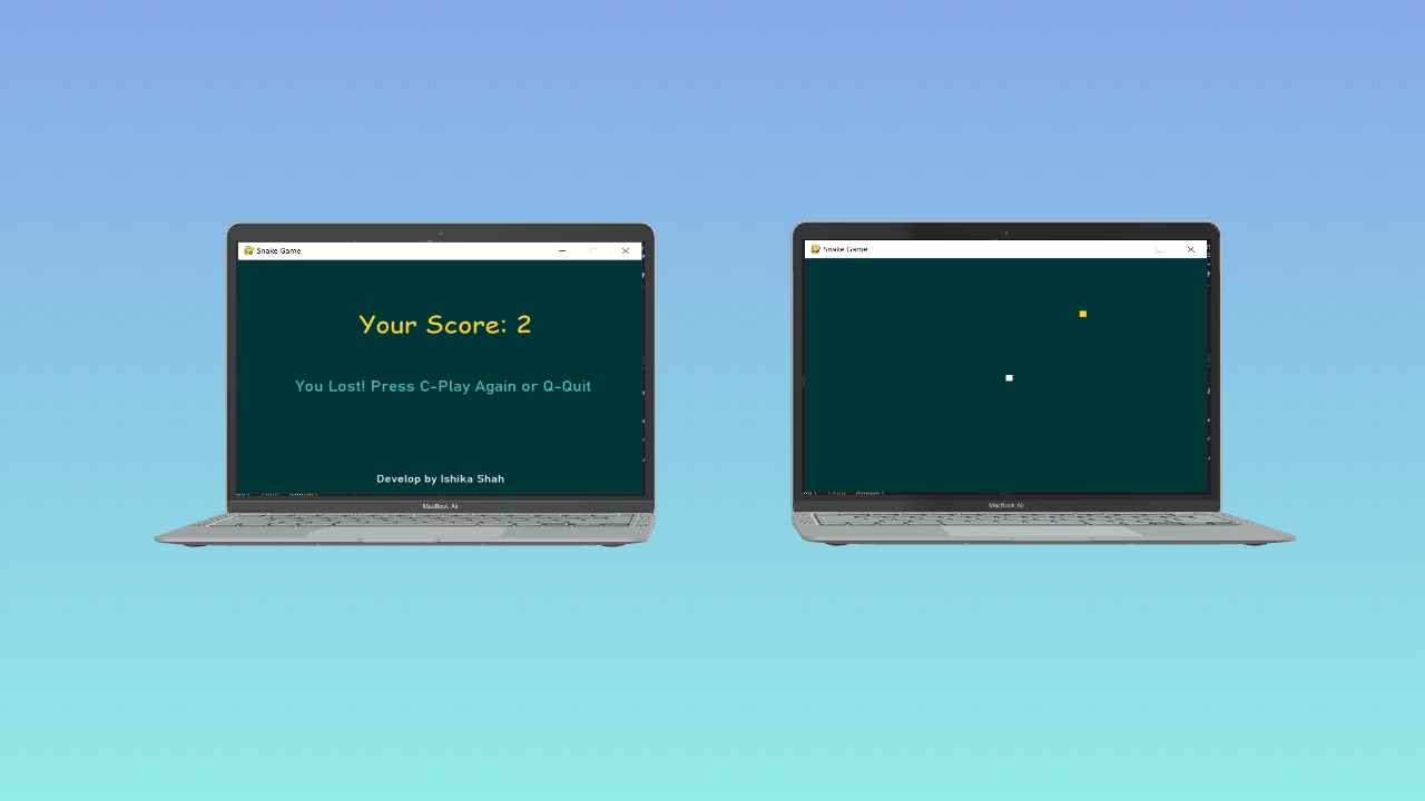 Personal Portfolio Images